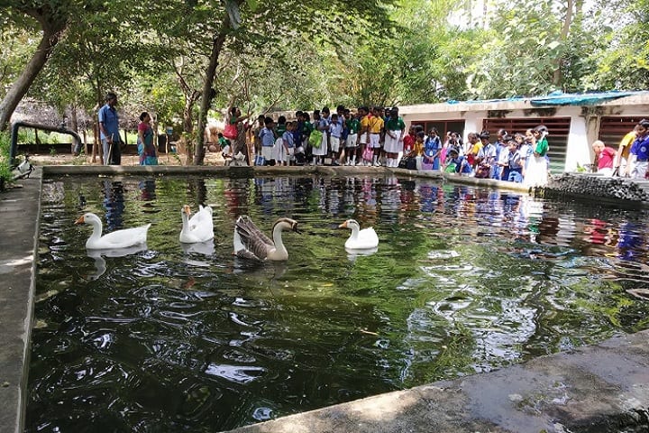 Marg Navajyothi Vidyalaya-Educational Trip