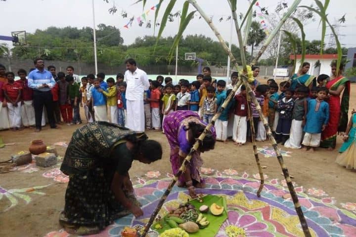 Mount Litera Zee School-Festival Celebration