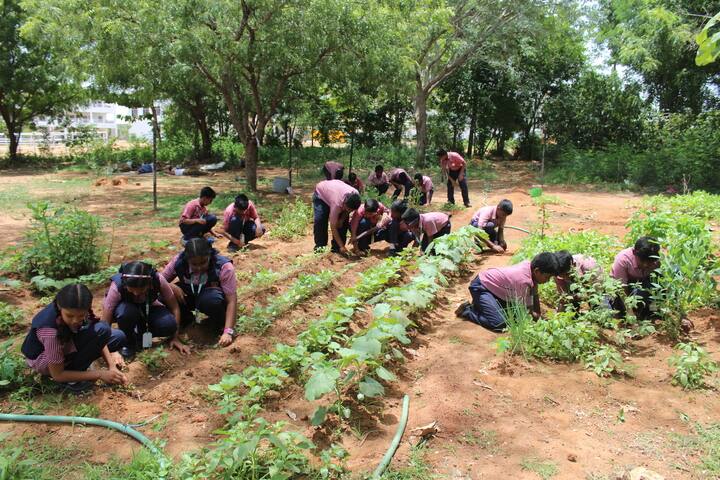Mount Zion International School-Green Day