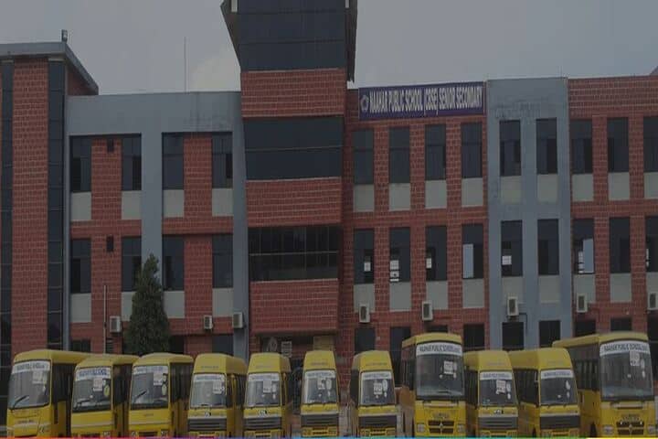 Naahar Public School-School View