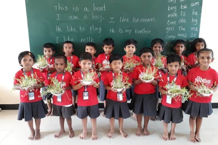 Nandha Central School-Tree Plantation