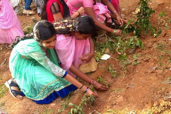 Narayanapillai Memorial Vidya Kendra-Tree Plantation