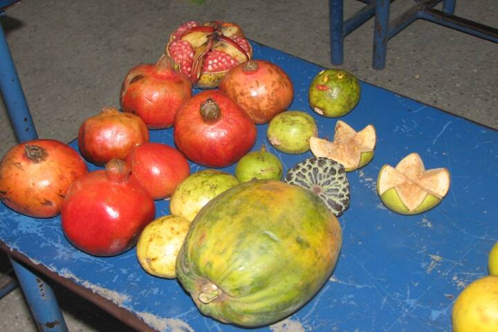 National Model Secondary School-Fruit Day