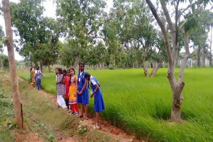 New Prince Shri Bhavani Vidyashram-Tour