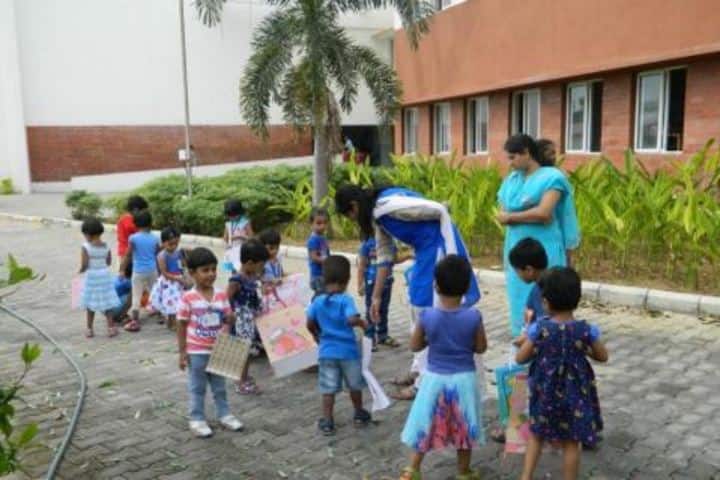 Padma Seshadri Bala Bhavan School-Kids Activity