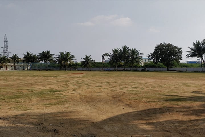 Peace On Green Earth Public School-Play ground