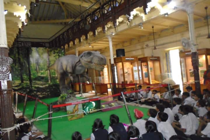 Peace On Green Earth Public School-Museum
