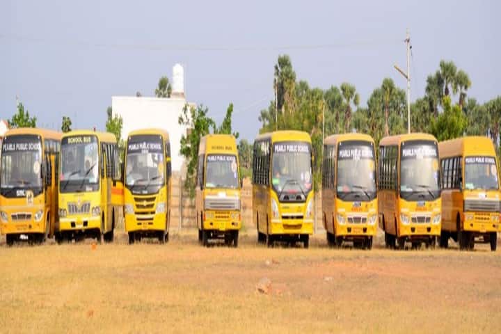 Pearls Public School-Transport