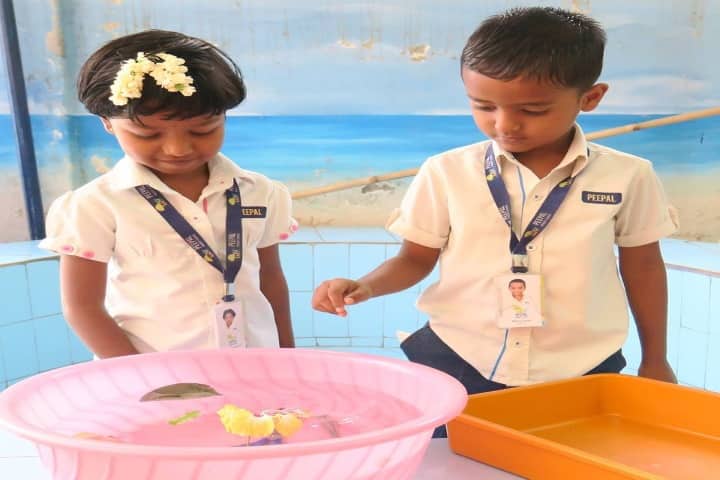 Peepal Prodigy School-Kids Play Time