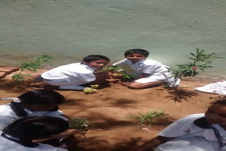 Pon Vidyashram-Plantation