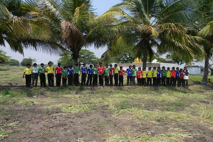 Ramachandra International Public School-field activity