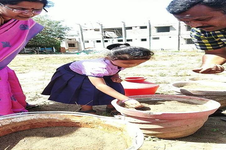 Rank International School-Plantation