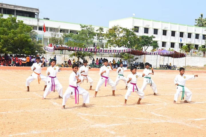 Royal International School-Karate