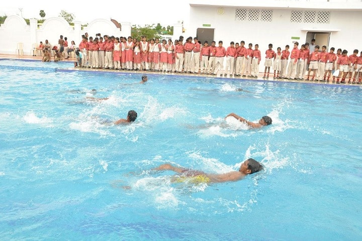 Royal International School-Sports swimming