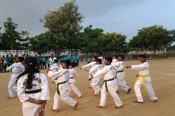 Santhanam Vidhyalaya-Karate