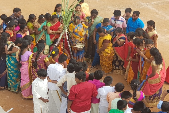SCISM Public School-Festival Celebration