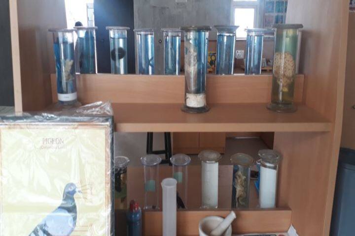 SCISM Public School-Biology Lab