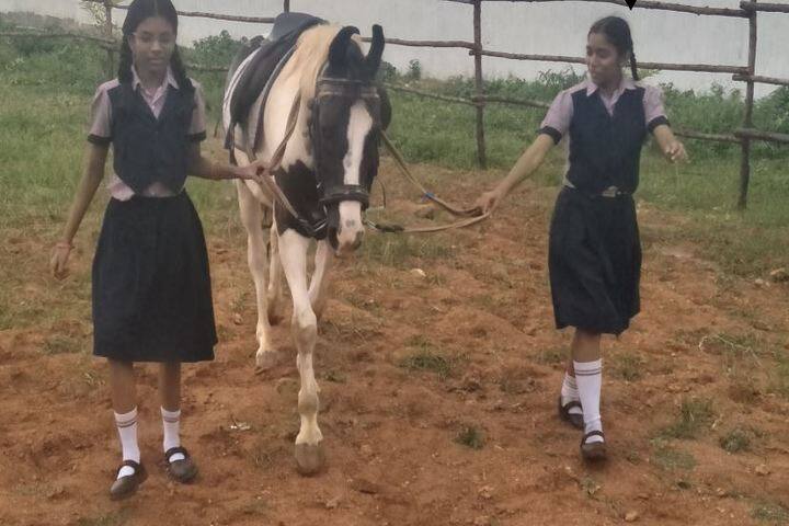 SCISM Public School-Horse Riding