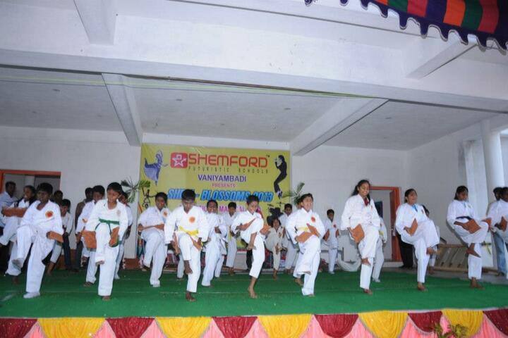 Shemford Futuristic School-Karate Activity