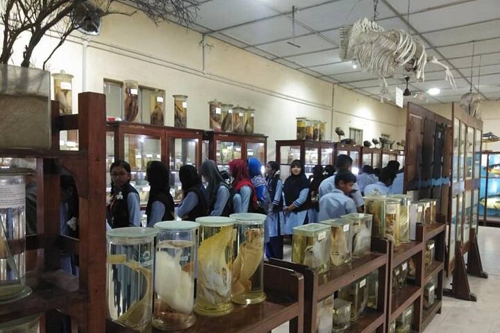 Shifan Noor Global Academy-Sciences Exhibition