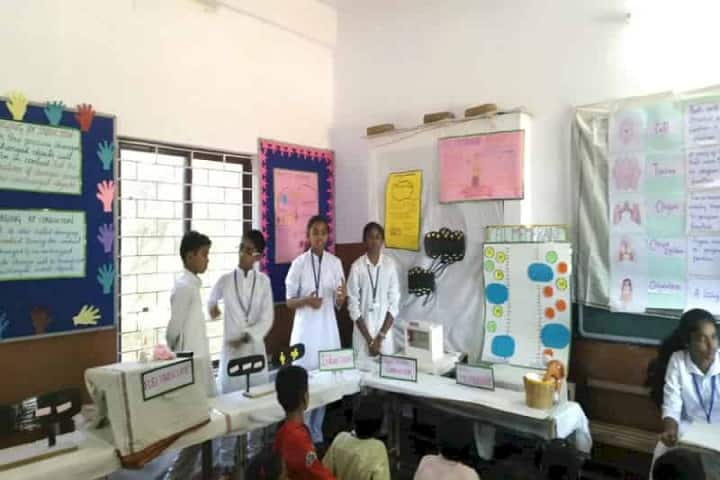 Siddarth Village School-Science Fair
