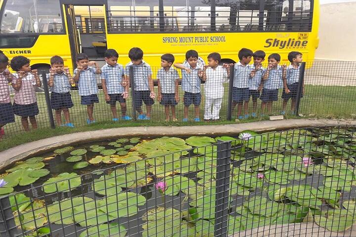 Spring Mount Public school-Bus Transport