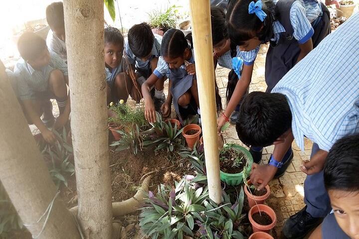Sree Shanthi Anand Vidyalaya-Activity