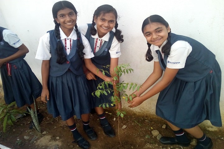 sri chaitanya techno school-activity