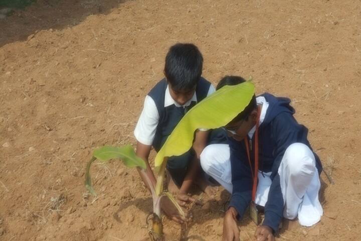 Sri Gurukulam Secondary School-plating trees