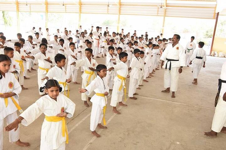 Sri Narayani Vidyashram School-karatte