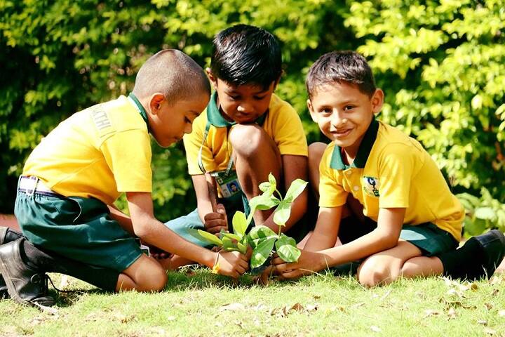 Sri Shakthi International School-Tree Plantation