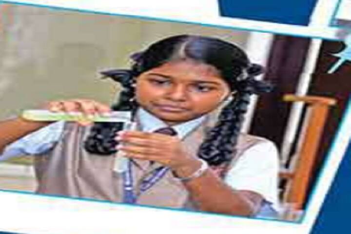 St Joseph Calasanz School- Lab activity