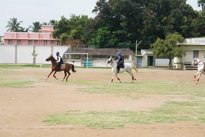 St Johns National Academy- Horse Riding