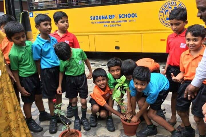 Suguna International School- Plantation