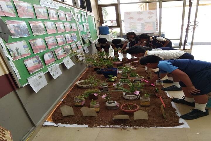 The Geekay world school- Van Mahotsav