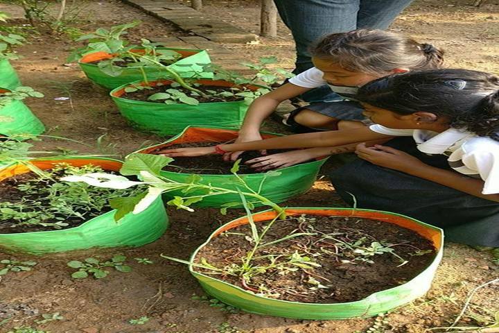 The Velammal International School-Plantation
