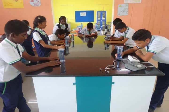 Tulip International School-Lab Activity