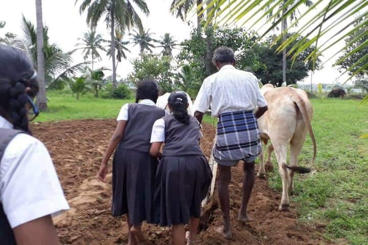 Velammal Bodhi Campus-Students In Farming