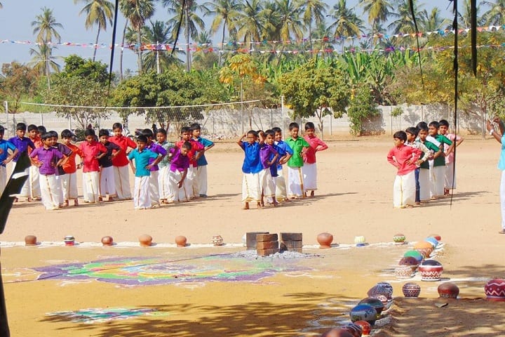 Vijay Vikas International School-Pongal Celebrations