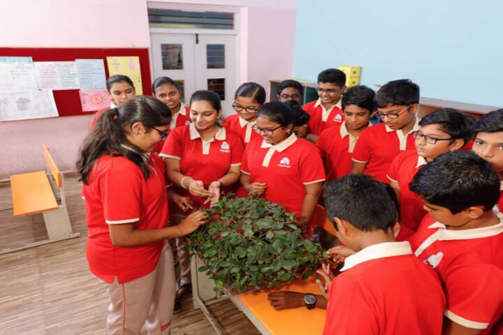 Vishwa Sishya Vidyodaya School-Eco Club
