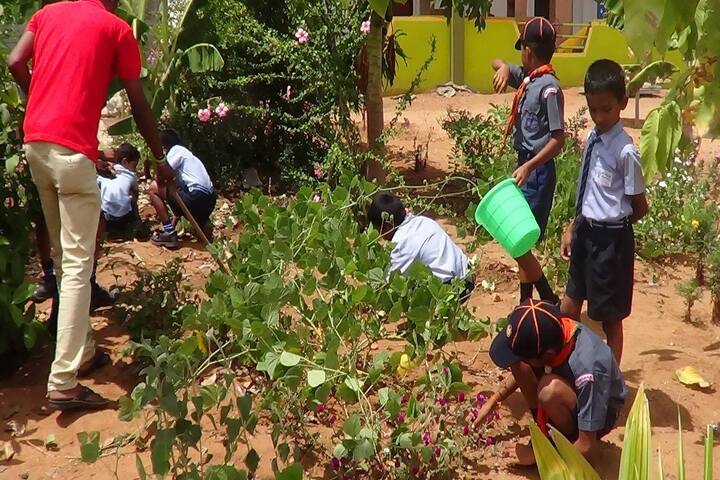 Vivegaa School-Swatch Bharat