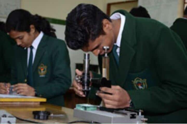 R N S Delhi Public School-Lab