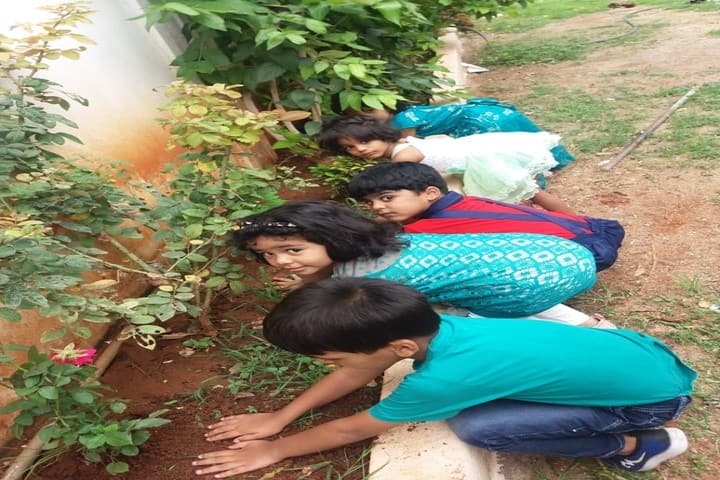 Academic Heights Public School-Tree Plantation