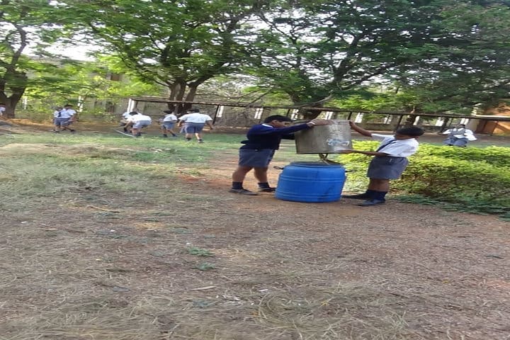 Atomic Energy Central School-Activity