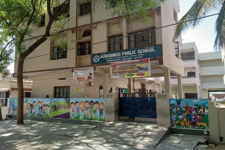 Aurobindo Public School-Campus