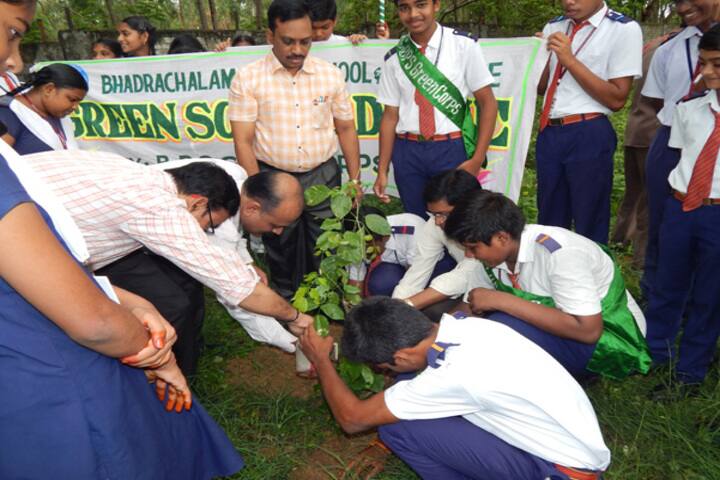 Bhadrachalam Public School And Jr. College-Tree Plantation