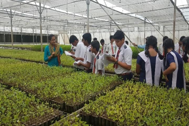 Bhadrachalam Public School And Jr. College-Visit To Plantation