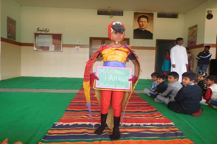 Don Bosco School-Fancy Dress Competition
