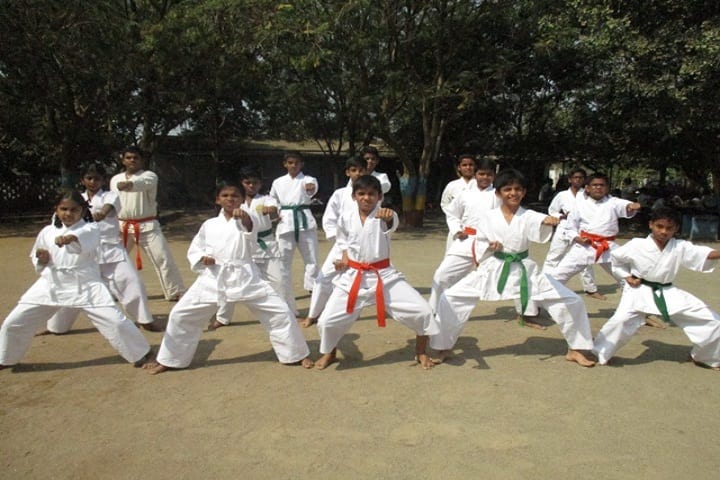 Harvest Public School-Karate