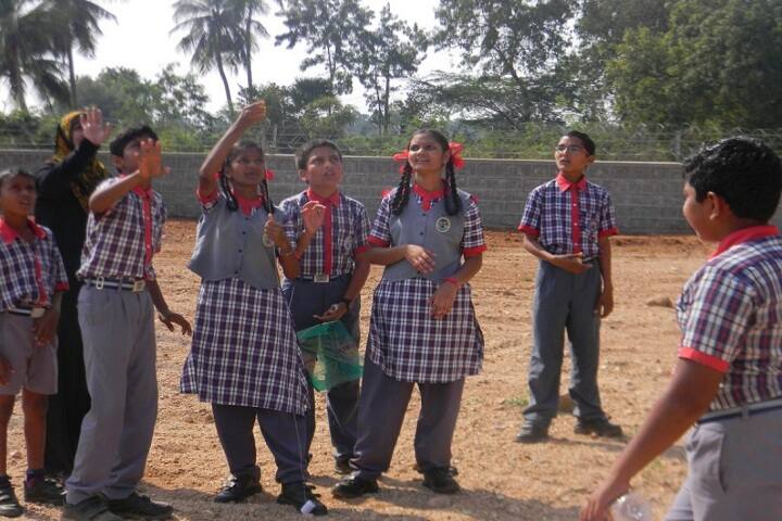 Kendriya Vidyalaya-Event